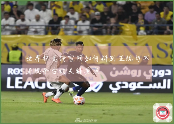 世界杯竞猜官网如何辨别正规与不正规平台的关键要点