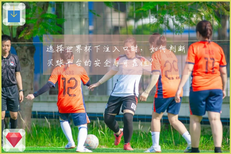 选择世界杯下注入口时，如何判断买球平台的安全与可靠性？