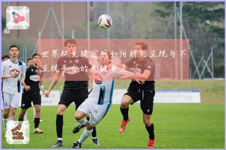 世界杯竞猜官网如何辨别正规与不正规平台的关键要点
